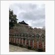 信貴山朝護孫子寺