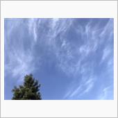 お天気は晴れ☀️ですよー