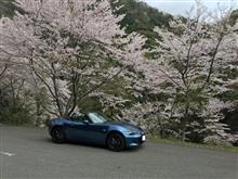 グレードを悩んだロードスター