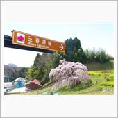 日本三大桜 福島三春滝桜 ＆ ...