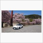 桜と124…