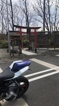 オートバイ神社に向かう途中の「枝垂桜」