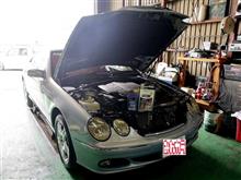 Ｗ２１５ ＣＬ５００にＳＯＤ－１！