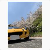   Z Z z z z ・・ ...