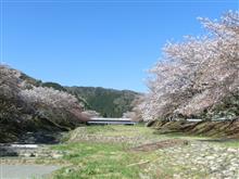 コロナに負けず里山を徘徊して来ました♪