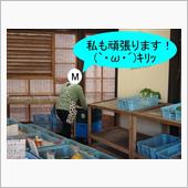 20年ぶりの牛飼い・・・　( ...