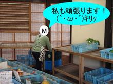 20年ぶりの牛飼い・・・　(ﾟДﾟ≡ﾟДﾟ)