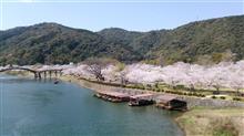 徒然なるままに（生存報告）