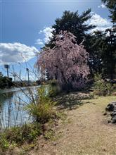 公園散歩〜^ - ^
