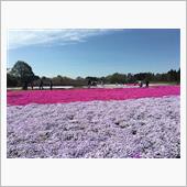 芝桜とウォーキング‥♪♪♪