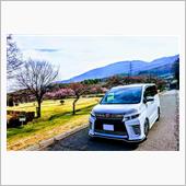 公園&#215;VOXY