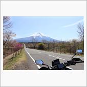 フジイチ・・・ソーシャルディ ...