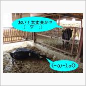 火曜サスペンス劇場か！　(( ...