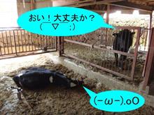 火曜サスペンス劇場か！　(((( ；ﾟДﾟ)))ｶﾞｸｶﾞｸﾌﾞﾙﾌﾞﾙ