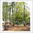 子供達は公園遊び♪