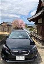 愛車と出会って1年！
