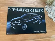 新型ハリアー。
