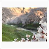 ☆★ SAKURA Ⅱ ★☆
