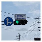 【また大好物を見つけた‼️】 ...