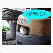それは湯たんぽじゃねぇ！　( ...