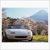 桜の時…