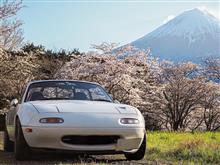 桜の時…