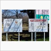 ふらっと桜見物③　東雲公園　 ...