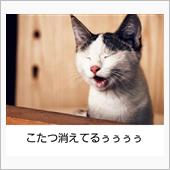なんだ！この野郎！！