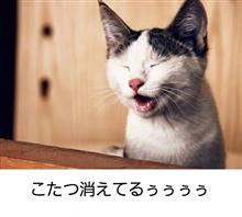 なんだ！この野郎！！