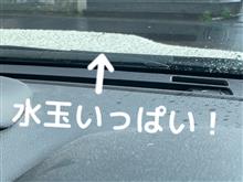 水玉いっぱい! 水玉いっぱい!