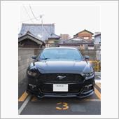お寺をバックに、マスタングの ...