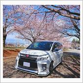 桜&#215;VOXY Part1