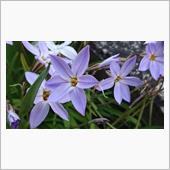 ４月２４日、おはようございま ...