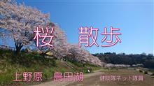 【桜 散歩】 上野原 島田湖 【健啖隊ネット隊員】y.katsu