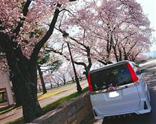 桜&#215;VOXY Part3
