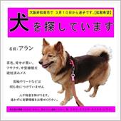 迷子さん探してます。