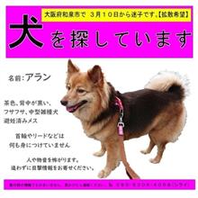 迷子さん探してます。