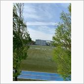 ワンコ達との散歩の途中の千葉日