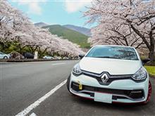続…桜の時