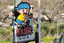 神奈川県で桜② JR御殿場線 山北の桜並木 (2020 .3) 神奈川県で桜② JR御殿場線 山北の桜並木 (2020 .3)