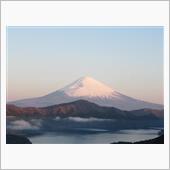 蜜を避けて近所を徘徊【ZZ】