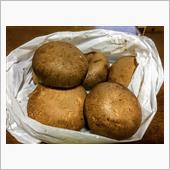 本日も貰い物、なんだこれは！ ...