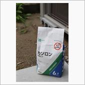 カソロンをバラまく