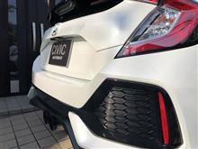 FK7のハチの巣を洗車