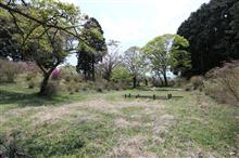 鳥見山公園のつつじと青もみじ、そして白川ダム。