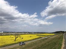 ホームステイのはずが(；・∀・)