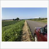 当別川右岸堤防上の「いつもの ...