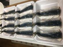 イワシ・鰯・鰮・尽くしの巻(^^♪
