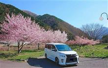 桜&#215;VOXY Part5