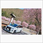 桜&#215;VOXY Part6